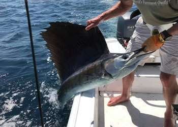 Rainbow Runner Tamarindo half day charter sailfish