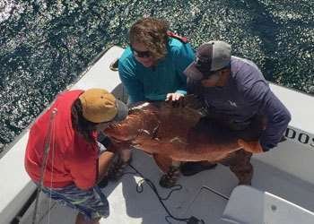 Talking Fish Tamarindo half day charter snapper