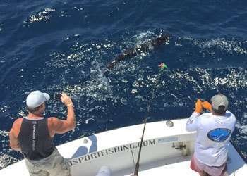 Talking Fish Tamarindo full day charter striped marlin