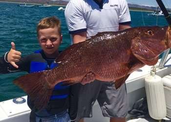 Capullo Tamarindo half day charter snapper