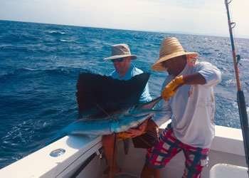 Capullo Tamarindo half day charter sailfish