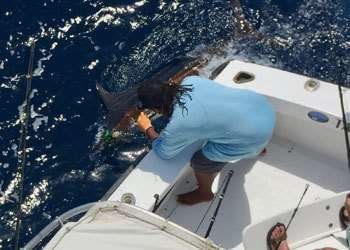 Talking Fish Tamarindo full day charter blue marlin