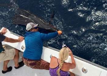 Talking Fish full day Tamarindo charter sailfish