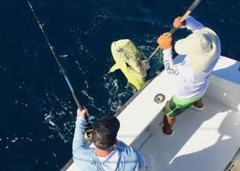 Talking Fish Tamarindo full day charter dorado