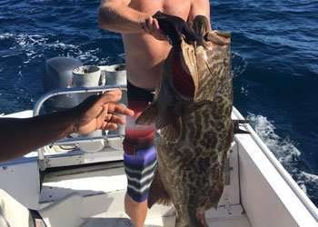 Rainbow Runner Tamarindo half day charter grouper