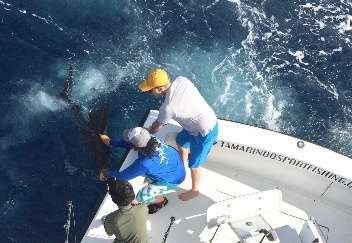 Talking Fish Tamarindo full day charter sailfish