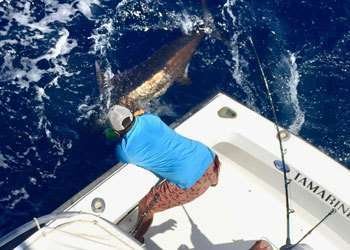 Talking Fish Tamarindo full day charter blue marlin