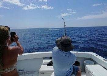 Salsa Tamarindo half day charter blue marlin