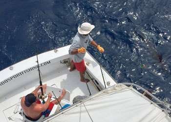 Talking Fish Tamarindo full day charter blue marlin