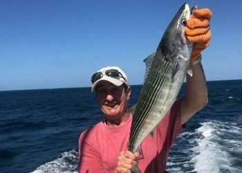 Capullo Tamarindo half day charter mackerel