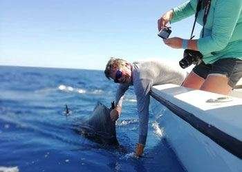Salsa Tamarindo full day charter sailfish