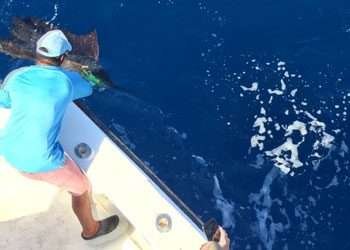 Talking Fish Tamarindo full day charter sailfish