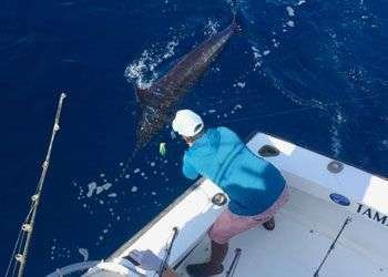Talking Fish Tamarindo full day charter blue marlin