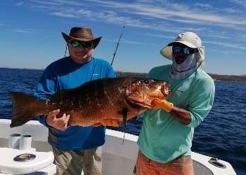 Outcast Tamarindo half day charter cubera snapper