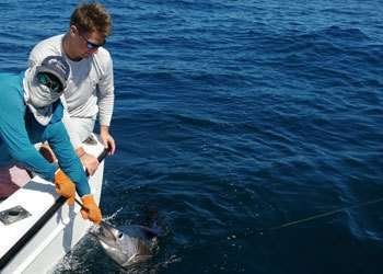 Outcast Tamarindo half day charter sailfish