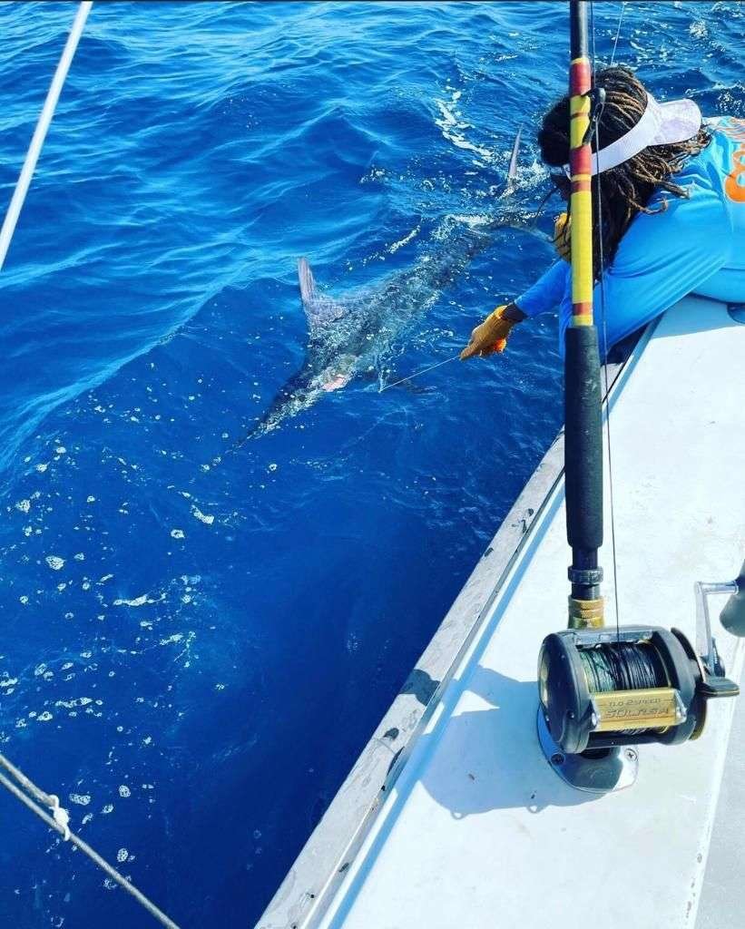 Capullo Tamarindo full day charter striped marlin