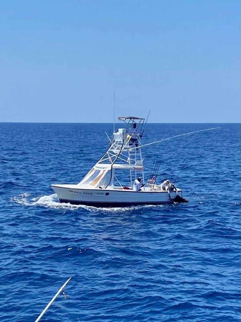 Outcast Tamarindo full day charter sailfish release