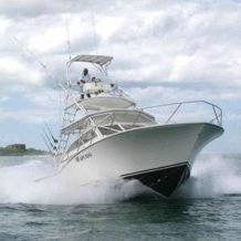 Tamarindo Charter Boats image